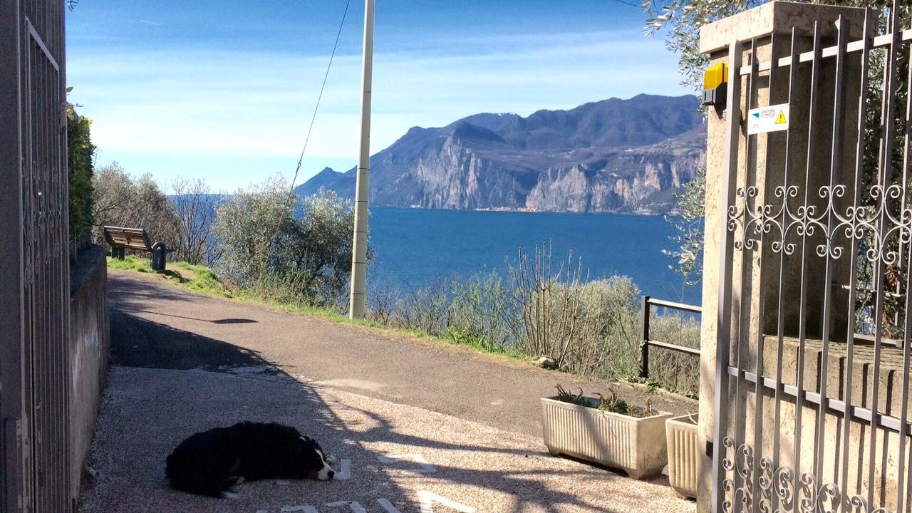 Villa Gaia Malcesine Exterior foto